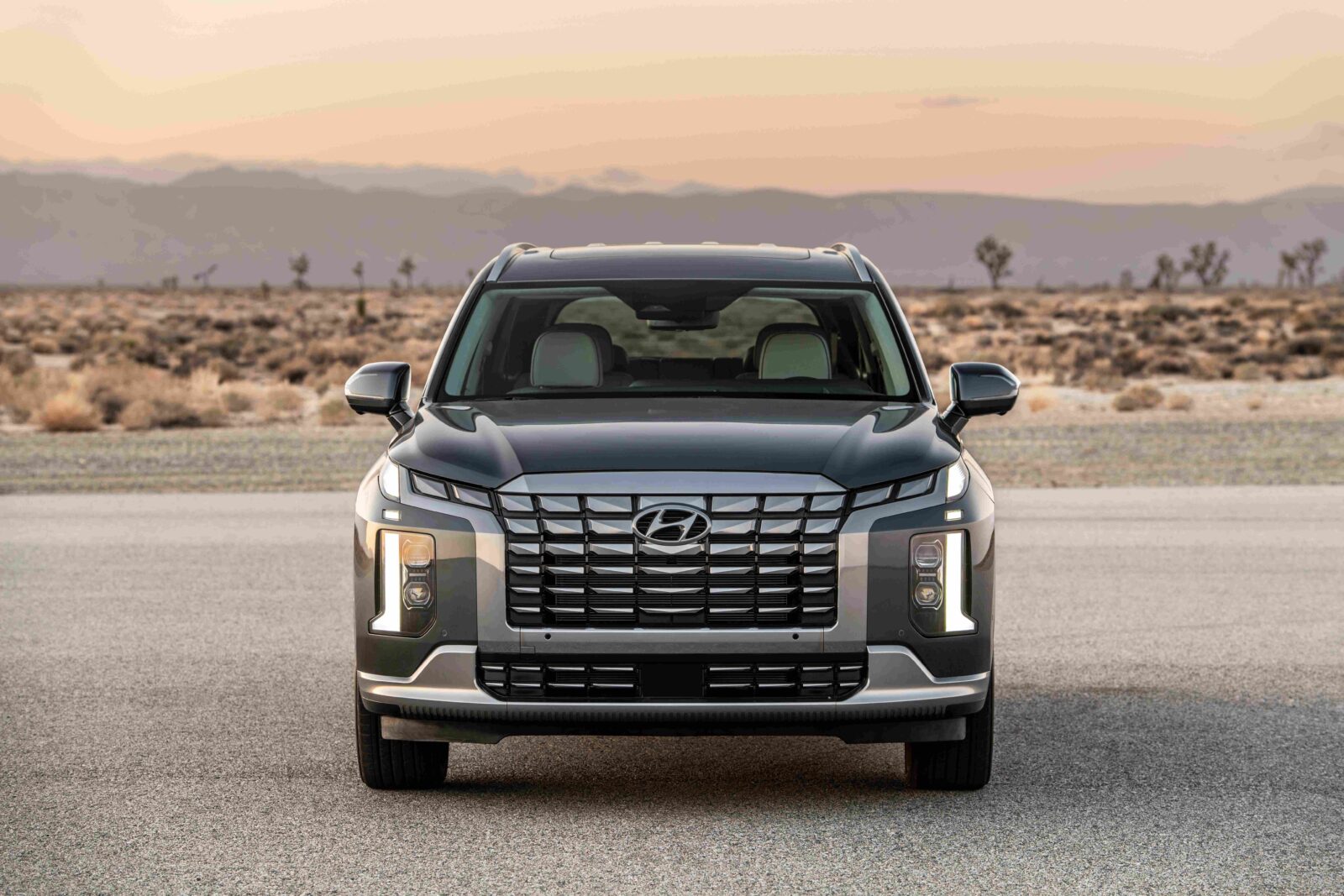 Hyundai Palisade 2025 9