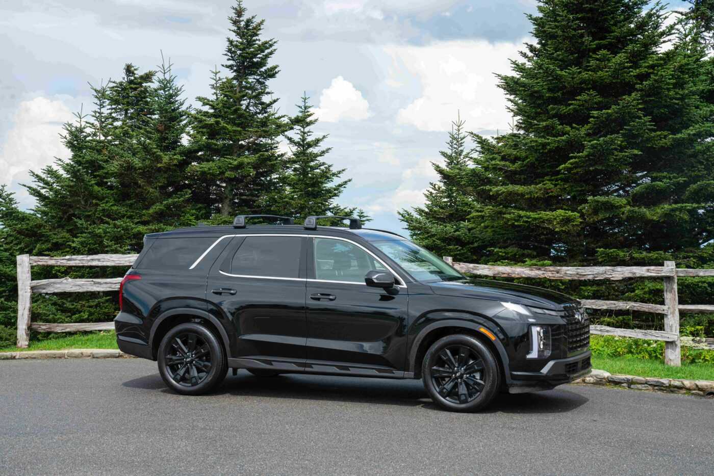 Hyundai Palisade 2025 8